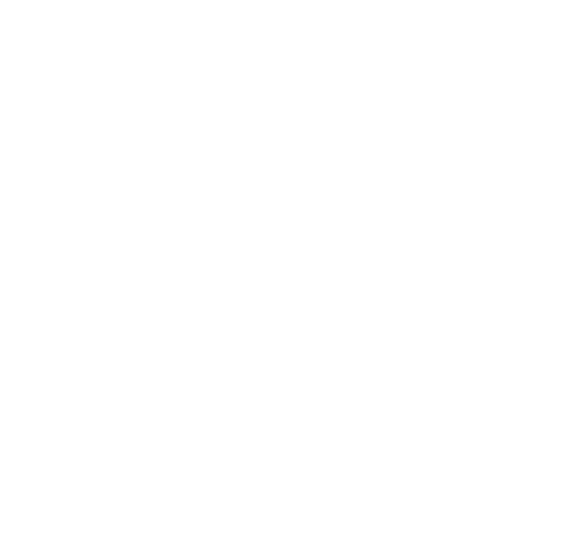 Pakistan Software Export Board logo